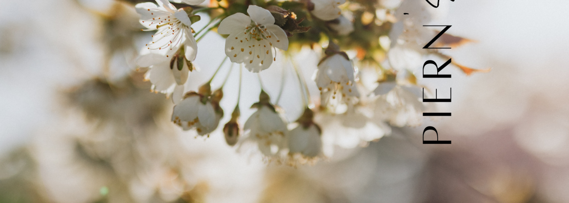 MINIATURES BLOG copie